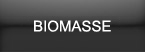 biomasse